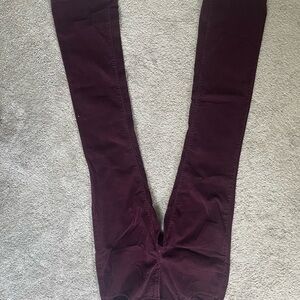 Women's loft corduroy Burgundy Jeans